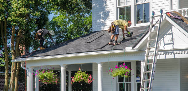 Roof Moss and Algae Removal in Laurel Hill, NC